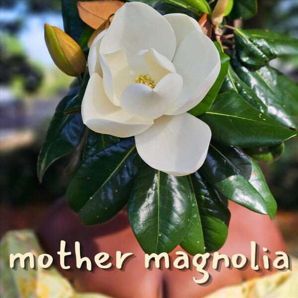 Cover art for Mother Magnolia